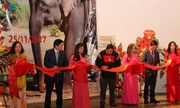 Inauguran la exposición sobre elefantes en Tay Nguyen 