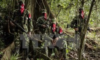 Colombia dispuesto a un nuevo alto el fuego 