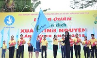 Voluntarios vietnamitas desplieguen campaña primaveral 2018