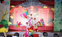 Vietnamitas residentes en ultramar celebran el Tet