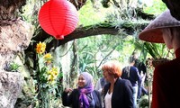 Exhiben orquídeas asiáticas en República Checa