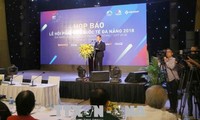 Da Nang anuncia Festival internacional de Fuegos Artificiales 2018