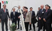Dirigente parlamentaria de Vietnam indaga agricultura de alta tecnología en Holanda