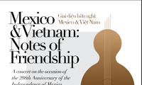 Intercambio artístico por el desarrollo fructífero de las relaciones Vietnam-México