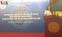 Proporcionan informaciones sobre el CPTPP a empresas vietnamitas
