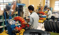 Mercado laboral de Vietnam atrae atención de numerosas naciones 