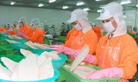 Vietnam planea ingresar más de 2 mil millones de dólares de exportaciones de pescado Tra en 2019 