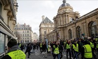 Francia: Manifestaciones de los “chalecos amarillos” siguen por 14 semanas consecutivas
