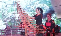 Numerosas actividades con motivo del séptimo festival del Café de Buon Ma Thuot