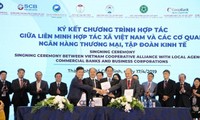 Fundamentan marco legal por desarrollo sostenible de cooperativas vietnamitas 