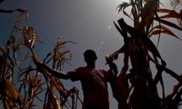 El cambio climático afecta a campesinos y pescadores de Guatemala