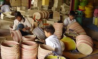 Vietnam por acabar con el trabajo infantil