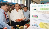 Premier vietnamita orienta el desarrollo económico de la región central