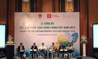 Vietnam prioriza energías renovables en la planificación de electricidad 