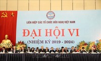 Celebran IX conferencia del presídium de la Unión de Organizaciones de Amistad de Vietnam