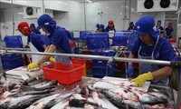 Exportaciones de productos agrícolas, silvícolas y acuícolas vietnamitas alcanzan nuevo récord 
