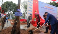 Lanzan localidades vietnamitas la siembra de árboles a inicios del año 