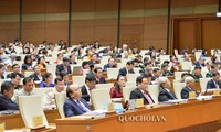 Diputados vietnamitas proponen diseñar la ley de Seguridad Económica 