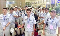 Organización Internacional del Trabajo comprometido a respaldar la inmigración laboral de Vietnam