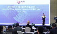 Es necesario fortalecer la relación complementaria entre la Subregión del Mekong y Asean