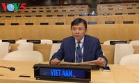 Vietnam respalda esfuerzos internacionales por ayudar a Somalia a superar dificultades socioeconómicas