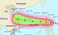 Vietnam toma medidas para responder al tifón Vamco
