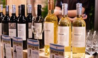 Promueven vinos argentinos en Hanói 