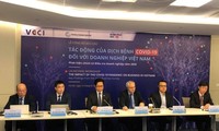 Publican el Informe sobre el impacto del covid-19 en el sector empresarial de Vietnam en 2020