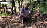 Nguyen Trung Duc y sus bambúes cultivados en tierras salinas