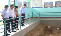 Tay Son Thuong Dao: promueven la zona de reliquias histórico-culturales