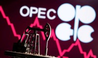 Estados Unidos insta a la OPEP+ a aumentar la producción petrolera por la recuperación económica mundial