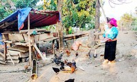 Va Thi Kia, un ejemplo en la salida de la pobreza