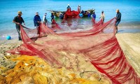 Un Vietnam único a través del lente de fotógrafos internacionales 