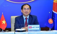 Canciller vietnamita llama a los países del G7 a ayudar a la ASEAN en la distribución segura de vacunas