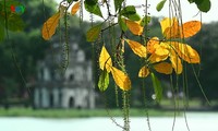 「ハノイの秋」写真集