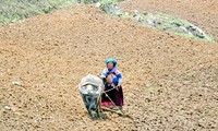 少数民族の人々の農業生産活動