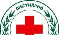 赤十字協会、慈善活動をさらに効果的に実現する必要がある