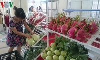  野菜果物の輸出額 10億ドル