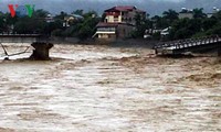 集中豪雨に伴う洪水で、死傷者多数出る