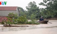 日本政府、ベトナムの洪水被災者を支援