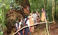 コトゥ族の森の恩に報いる儀式