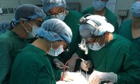 縦断的臓器移植の奇跡 