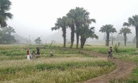 少数民族モン族の観光の村