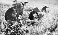 ベトナム国への女性の愛を讃える歌
