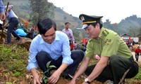 植樹運動に応えるイエンバイ省 