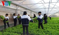 ハイテク農業に励むラムドン省の生徒たち