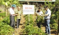 薬草の持続可能な開発 を目指すソンラ省