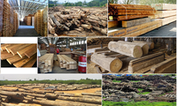 木材と木工製品の輸出
