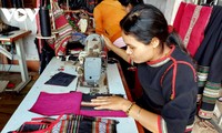 錦織りの発展に励むダクラク省の女性たち