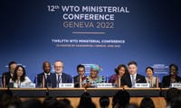 WTO、閣僚宣言を採択